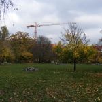Falkplatz im Herbst